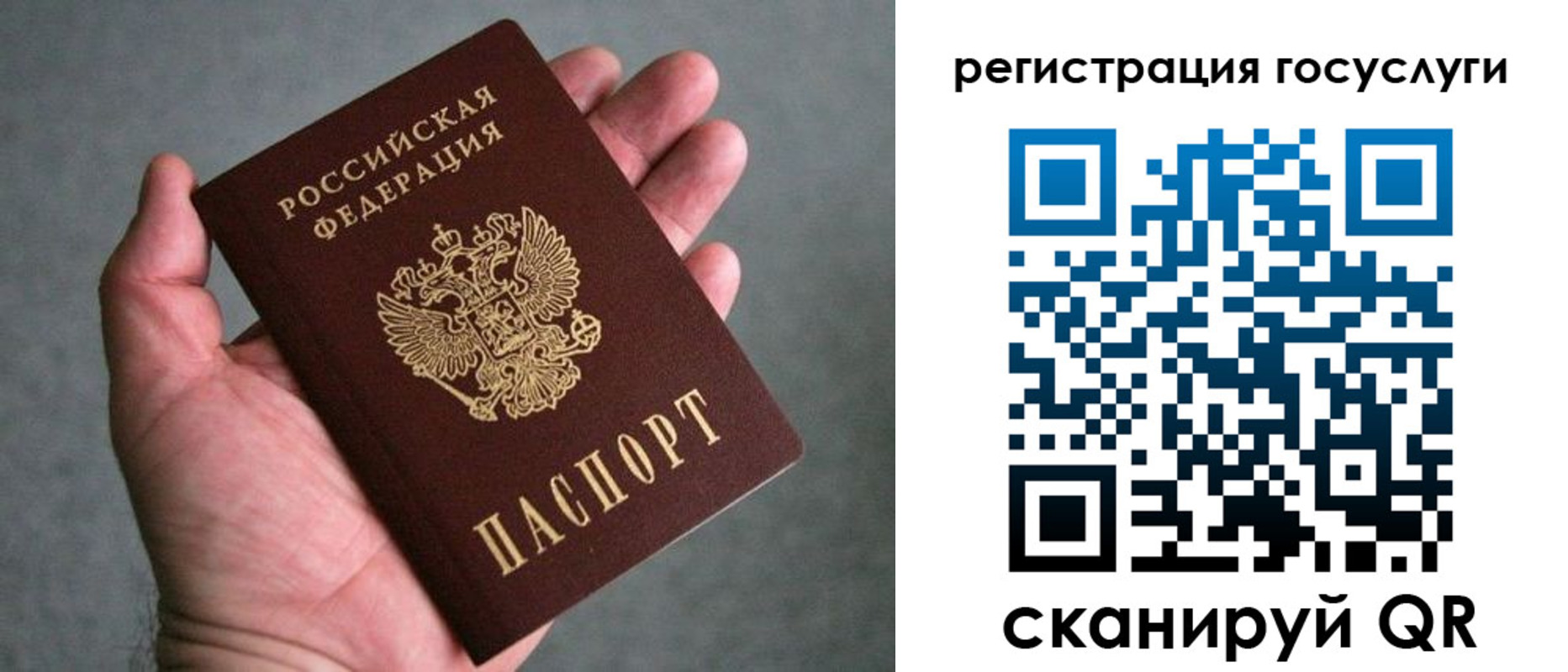 прописка поиск в Нерехте
